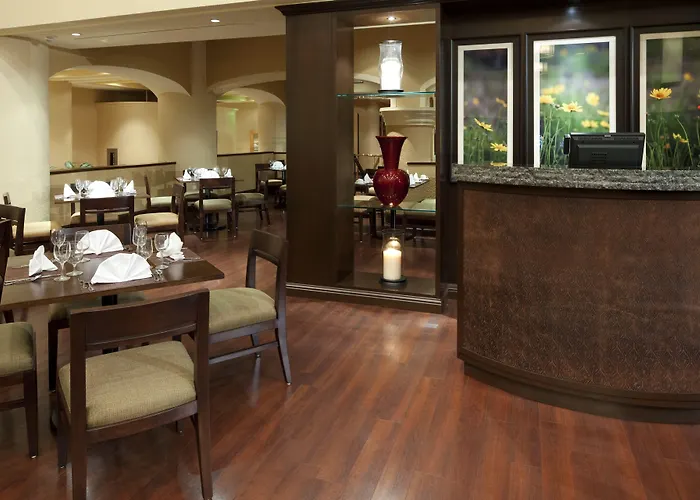 Sheraton Dfw Airport Hotel Irving
